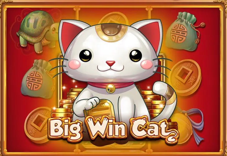 Big Win Cat